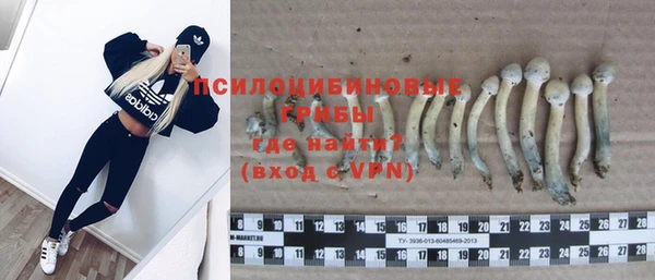 стафф Абдулино