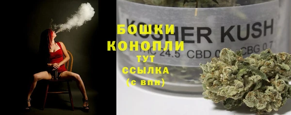 PSILOCYBIN Няндома