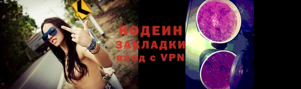 прущие грибы Нязепетровск