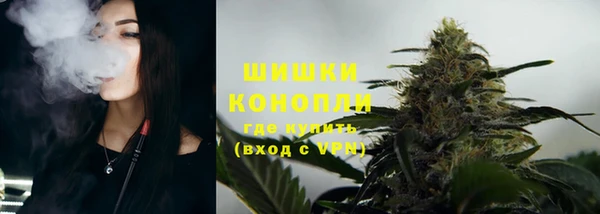 PSILOCYBIN Няндома