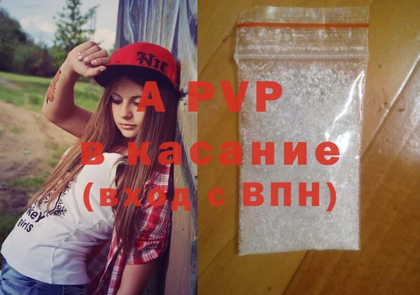 PSILOCYBIN Няндома