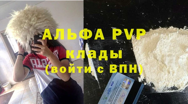 прущие грибы Нязепетровск