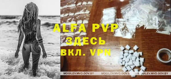 прущие грибы Нязепетровск
