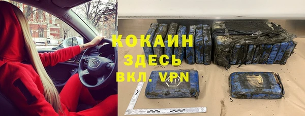 прущие грибы Нязепетровск