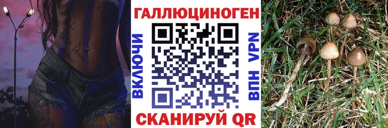 KRAKEN маркетплейс  купить  цена  Усолье  Галлюциногенные грибы Cubensis 